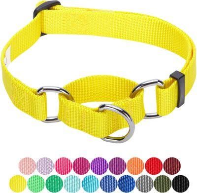 Personalized Collar Regular &amp; Martingale Collars