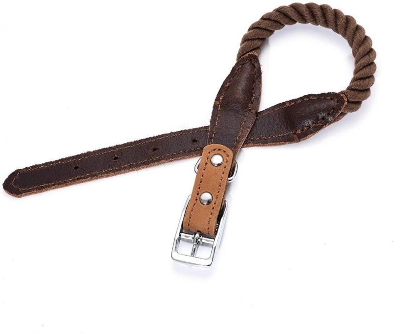 Genuine Leather Belt Collar for Medium Dog Large Dogs