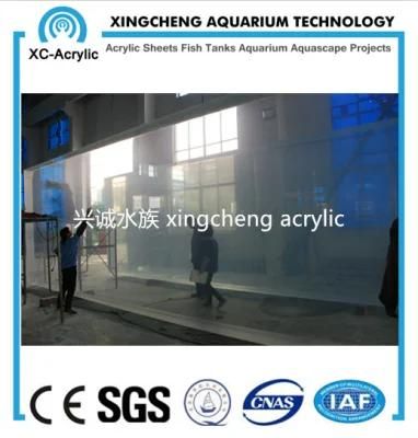 Transparent Acrylic Material Marine Aquarium Price