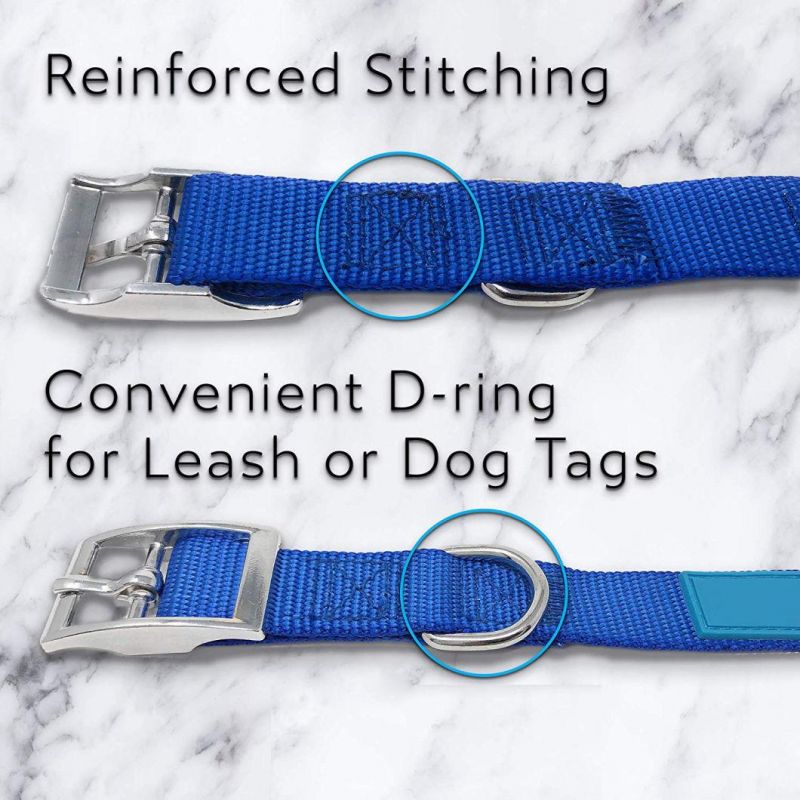 Personalized Dog Collars Metal Buckle Martingale Collar