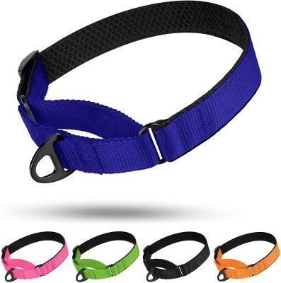 Soft Padded Comfortable Nylon Martingale Dog Collar