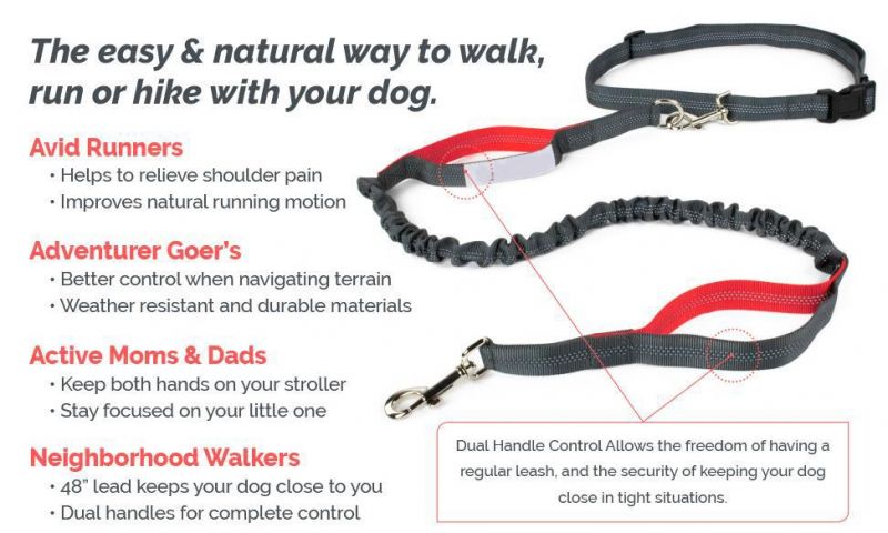 Hands Free Dog Leash for Running, Walking, Hiking Durable Dual-Handle Bungee Leash