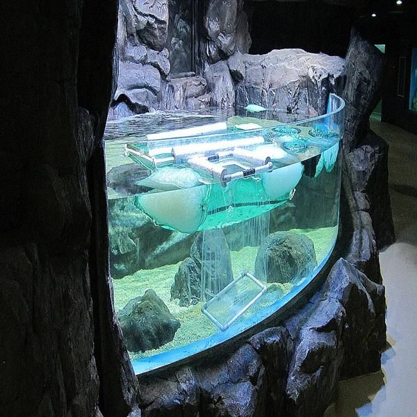 China Factory Supplier Customized 10mm to 200mm Large Size Acrylic Fish Tank, Acrylic Aquarium