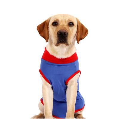 Recovery Suit for Dog After Surgery