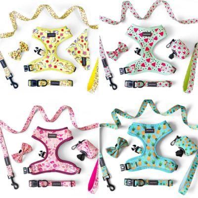 2022 Fashionable Customized Personal Logo Dog Harness Luxury Dog Harness Dog Collar Dog Leash Sets with Metal Buckle Pet Accessories