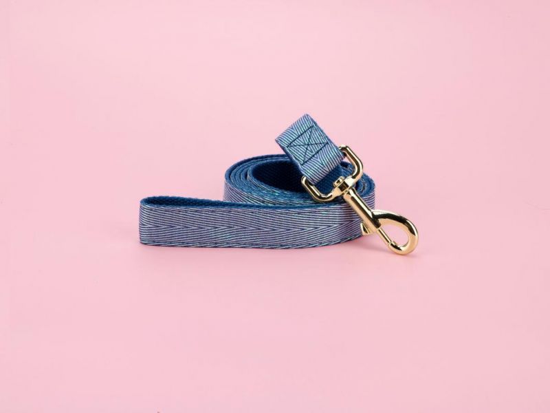 Hot Sell Wholesale Dog Collar Leash Set with Small MOQ