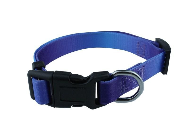 Wholesale Colored Sublimation Dog Collar Custom Design Can Be Adjustable