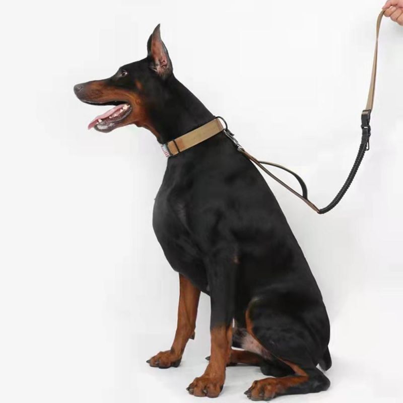 2022 OEM ODM Tactical Dog Collar and Leash Waterproof Strong Training Heavy Duty Handle Nylon Dog Collar