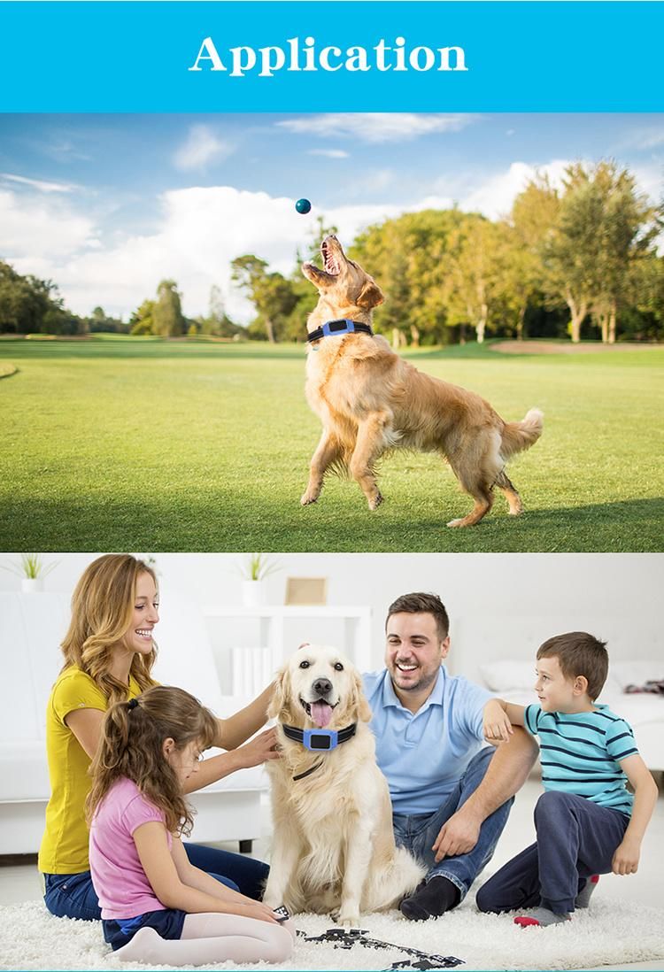 Customized Dog GPS Tracker Training Collar Dog Collar