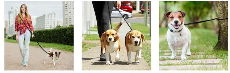 Hands Free Dog Leash Multifunctional Dog Training Lead