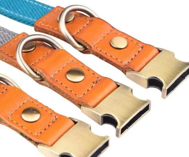 Sturdy Dog Collar with Leather Combination