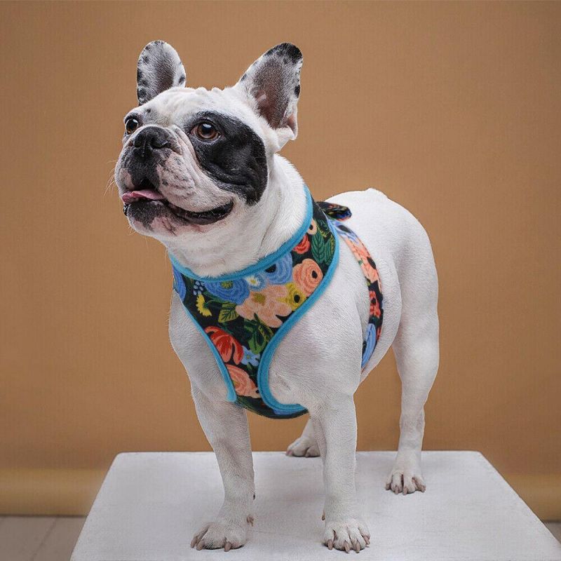 Colored Flowered High Quality Pet Product Detachable Adjustable Dog Harness