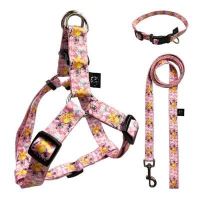 Manufacturer Designer Harness Vest Custom Logo Nylon Dog Collar and Leash Harness Set