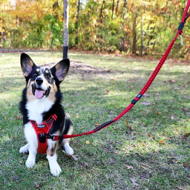 Durable Tactical Traffic Handle Training Reflective Nylon Bungee Dog Leash