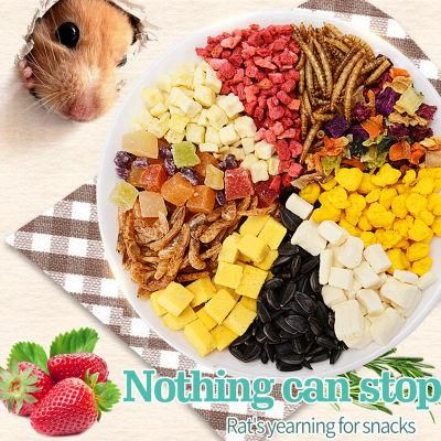 Yee Hamster Golden Bear Chipmunk Health Food Pet Snacks Gift Pack