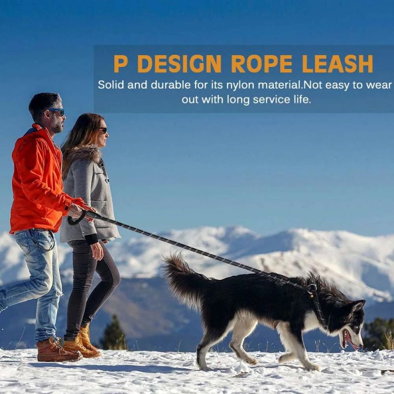 Heavy Duty Rope Dog Leash with Soft Handle Leash and Collar in One