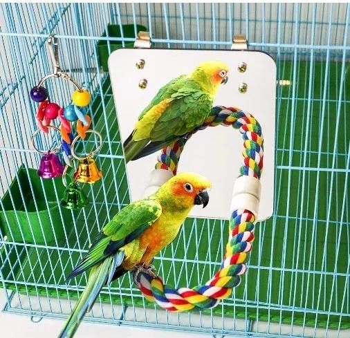 2 PCS Pack Bird Parrot Mirror Bird Mirror Toy Bird Rope Chew Bell Bite Toys