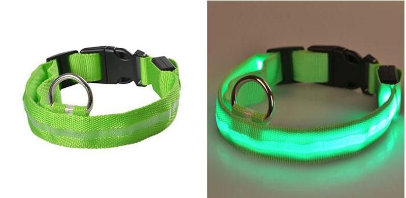 Hot Safety Pet Collar Lighted up Nylon LED Dog Collar Dog Products