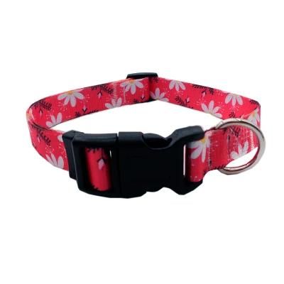 Hot Sales Pet Clothes Fashion Pattern Dog Collars and Leashes