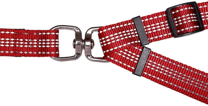 Great for Walking 2 Dogs Dual Handle Dog Leash