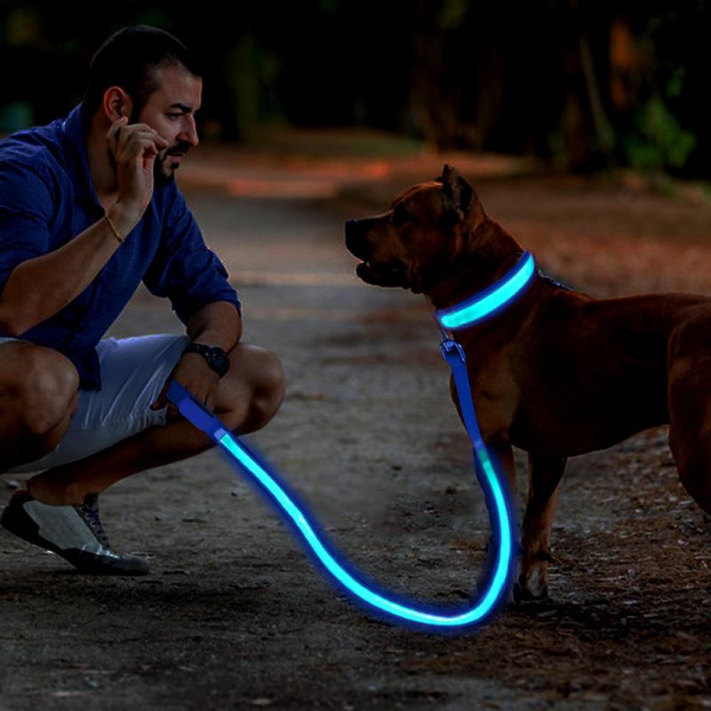 Double Stripe LED Dog Leash USB Charging