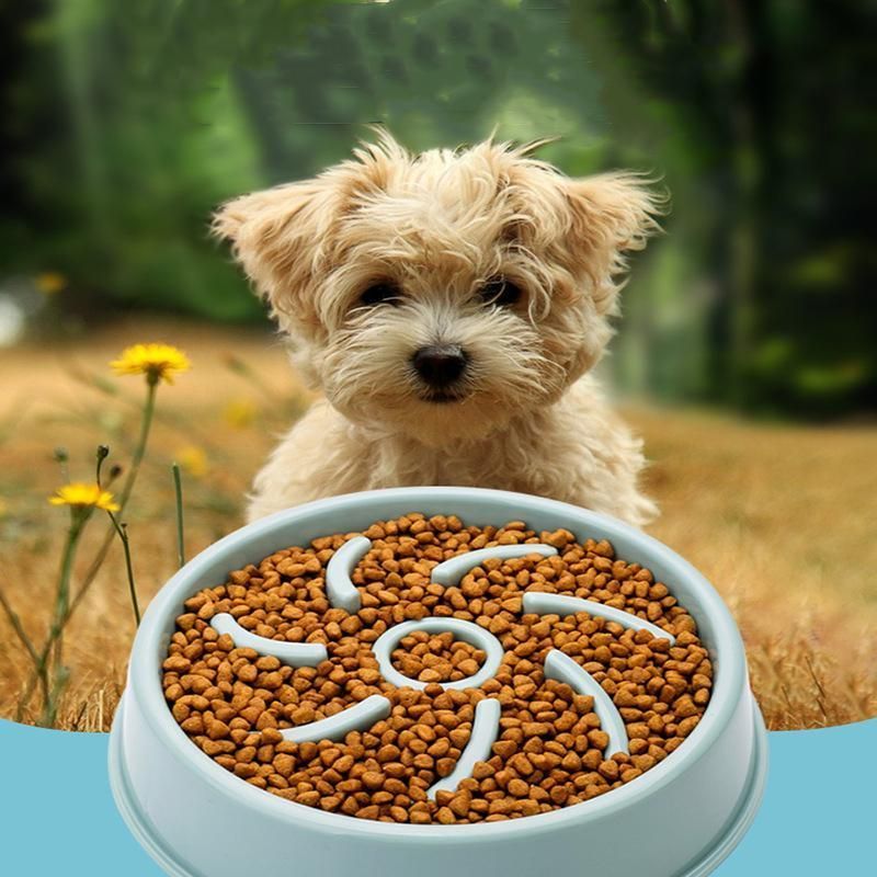 Dog Bowl Cat Feeder Stop Bloat Food Bowl Slow Feed