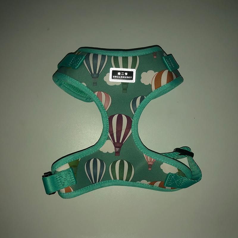 Custom Pattern Dog Harness and Leash Set Personalized Luxury Dog Harness