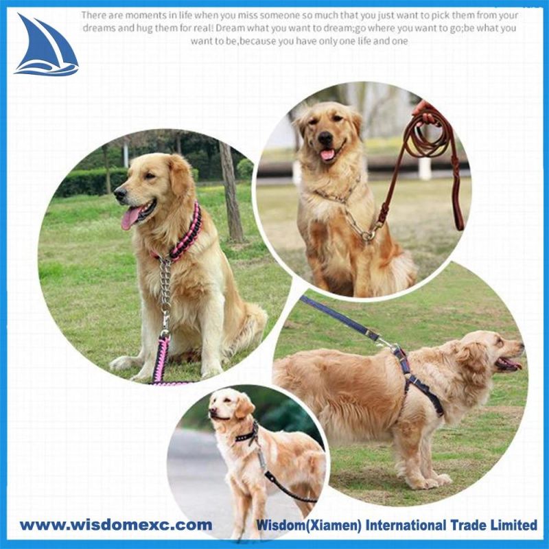 Soft Durable Webbing and Metal Clip on D-Ring for Leash