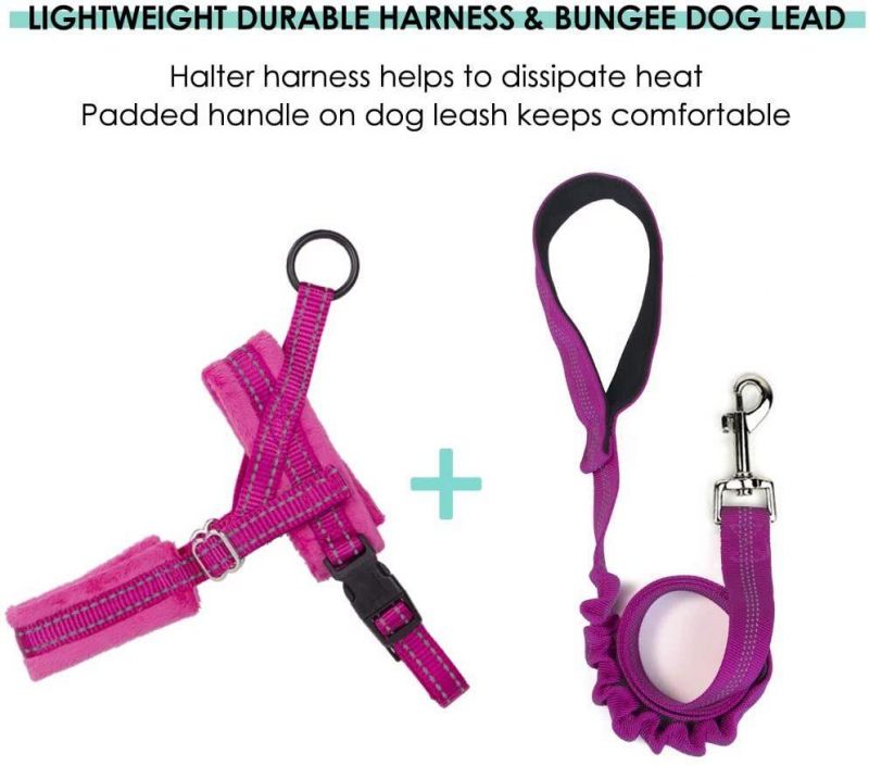 No Pull Small Dog Harness Heavy Duty Easy for Walk