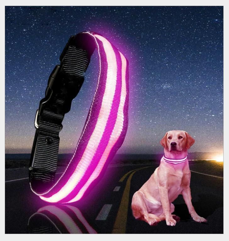 USB Rechargeable Flashing LED Nylon Safety Dog Collar