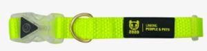 Lights Dog Collar Adjustable Length High Quality Nylon Webbing with Detachable Buckle Neon Color