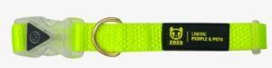 Lights Dog Collar Adjustable Length High Quality Nylon Webbing with Detachable Buckle Neon Color