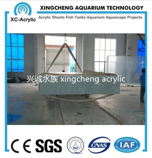 Customized Transparent Acrylic Glass Sheet Aquarium Project