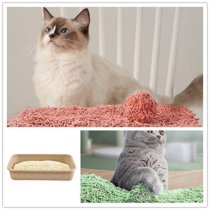 Biggest Manufacturer Clump Factory Supply Emily Pets Bentonite Cat Litter