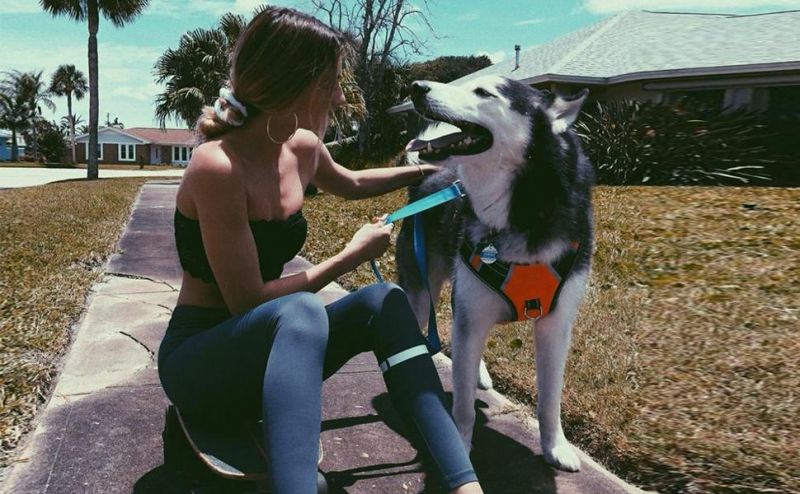 Easy to Wear& Adjustable Soft Padded Breathable Dog Harness, Dog Accessories