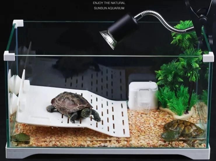 Wholesale Fish Farming Tanks Aquarium Terrace Ecological Turtle Tank Fish Glass Tank Special Fish Tank