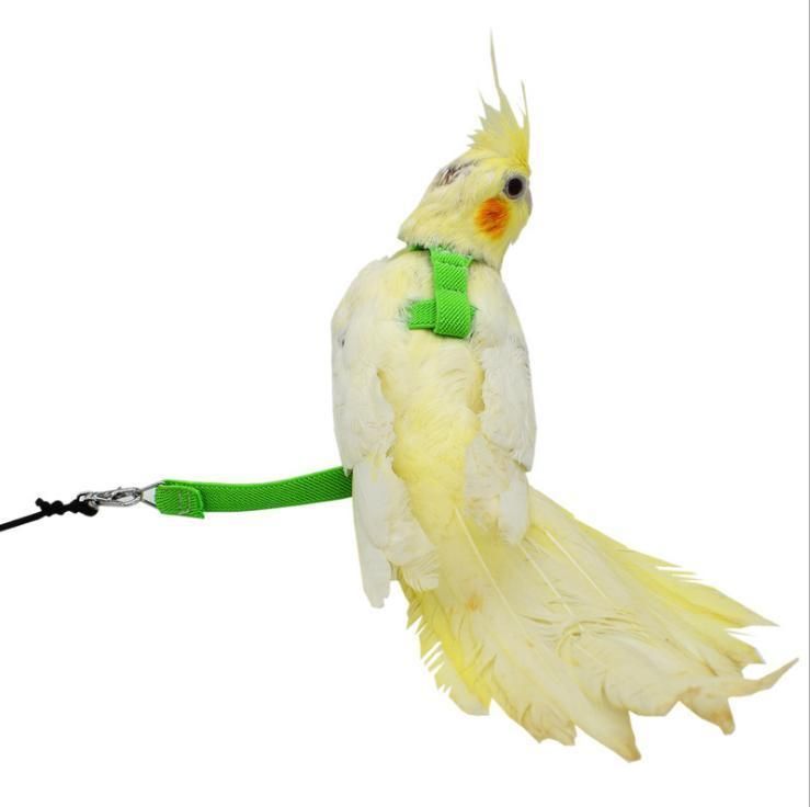 Light Release Traction Rope Peony Mystery Wind Small Sun Walking Bird Release Rope Parrot Flying Harness Rope Pet Products