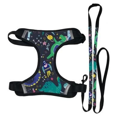 Reflective Pet Chest Vest Strap Cat Dog Harness Vest Leash Breathable Dog Harness Set