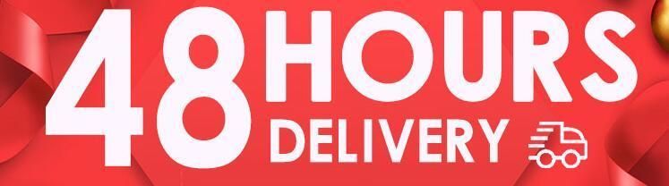 Fast Delivery of Christmas Dog Clothes