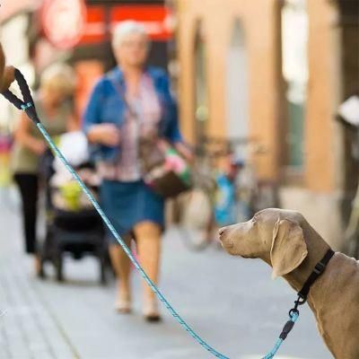 Dog Lead /Dog Leash with Comfortable Padded Handle and Highly Reflective Threads for Dogs