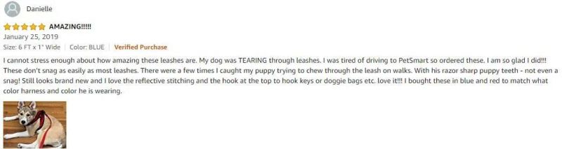 High-End Best Dog Leash with Padded Soft Neoprene Handle
