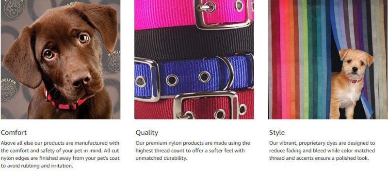 Best Christmas Dog Collar Buckle Collar for ID Tags