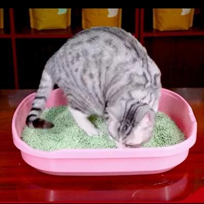 2021 Wholesale Neo Eco Clean Flushable Bulk Factory Supply Perfect Pet Corn Soy Cat Sand Tofu Cat Litter