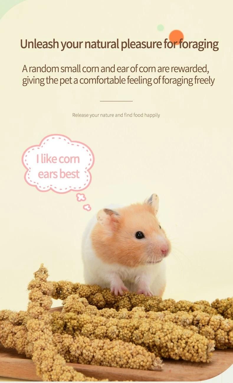 Yee Nature Corn Snacks for Small Pet Hamster Molar Snacks Pet Healthy Food