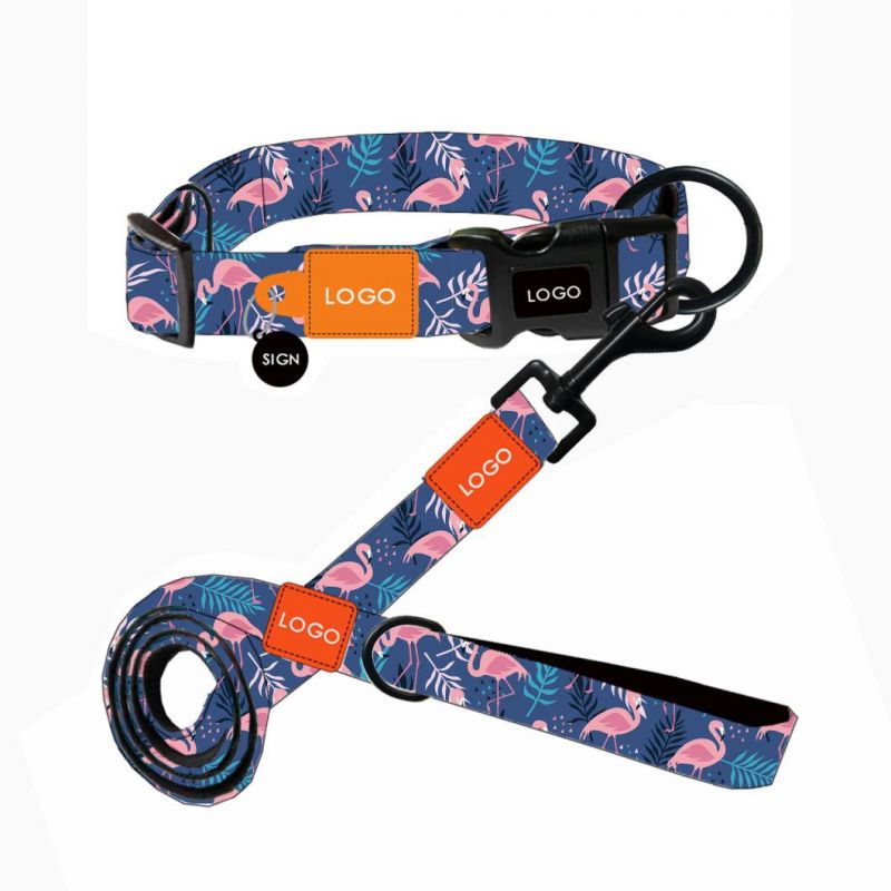 Multifunctional Dog Leash Collar