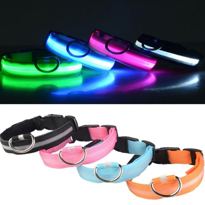 LED Dog Collar, Light up Collars to Keep Your Dogs Visible & Safe