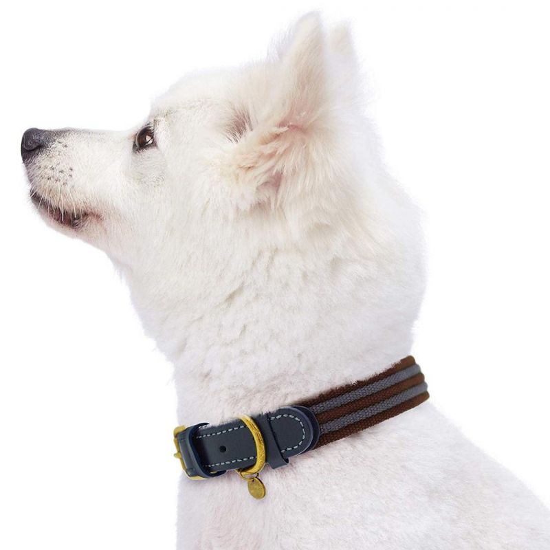 High Quality Round Soft Leather Dog Pet Collar with The Latest Design