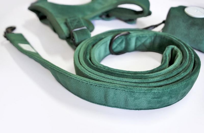 Soft Velvet Dog Harness Set Luxury Custom High Quality Adjustable Pet Collar and Leash Bandana Dog Poop Bag