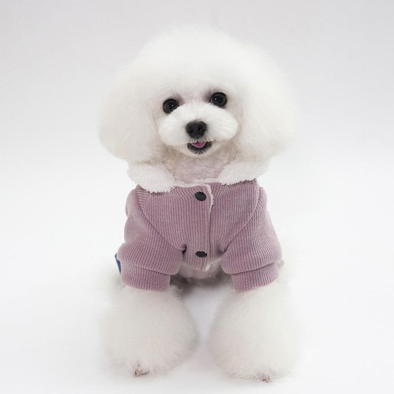 Pet Clothes Cat Teddy Dog Clothes Autumn/Winter New Pet Clothing Thickened 18-Bone Four-Legged Cotton-Padded Clothes