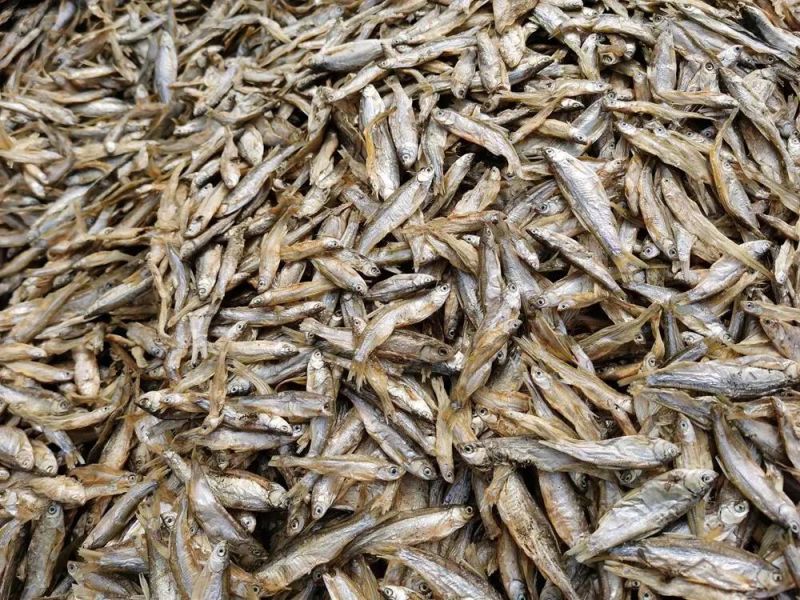Pet Foods Chinese Dried River Fish 4-8cm